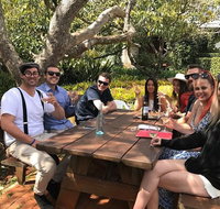 Private Full Day Wine Tour from the Gold Coast to Tamborine Mountain - Surfers Gold Coast