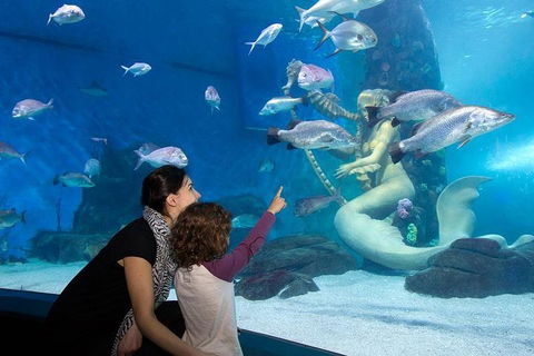 SEA LIFE Melbourne Aquarium Admission Ticket - Surfers Gold Coast 4