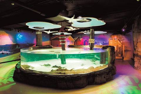 SEA LIFE Melbourne Aquarium Admission Ticket - Surfers Gold Coast 5