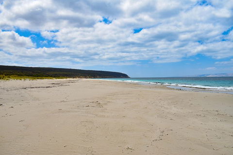 Kangaroo Island Luxury Small Group 'East End Explorer' Full Day Tour - Surfers Gold Coast 3