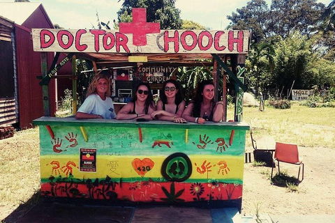 Byron Surrounds: Nimbin Waterfall Adventure - Swimming Tour - Surfers Gold Coast 5