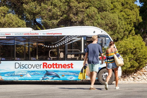 Discover Rottnest With Ferry & Bus Tour From Perth Or Fremantle - Surfers Gold Coast 1