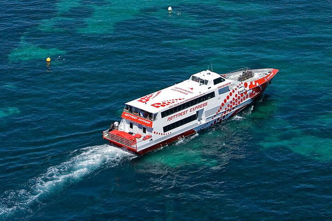 Discover Rottnest With Ferry & Bus Tour From Perth Or Fremantle - Surfers Gold Coast 3