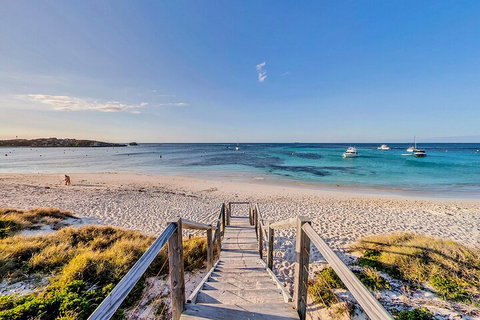 Discover Rottnest With Ferry & Bus Tour From Perth Or Fremantle - Surfers Gold Coast 4