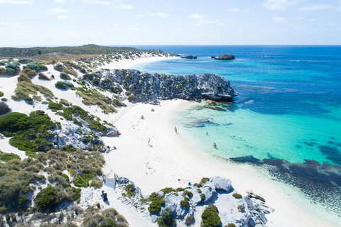 Discover Rottnest With Ferry & Bus Tour From Perth Or Fremantle - Surfers Gold Coast 5