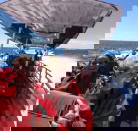 Adventure Rottnest Tour with Ferry  Adventure Cruise from Perth or Fremantle - Surfers Gold Coast