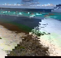 Experience Rottnest with Ferry  Bike Hire from Perth or Fremantle - Surfers Gold Coast