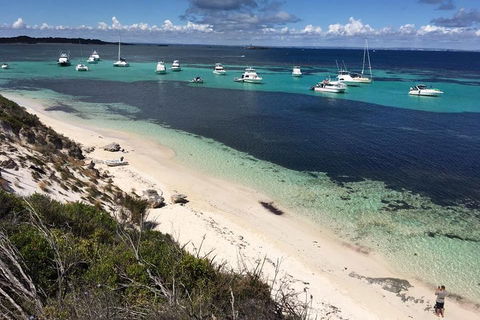 Experience Rottnest With Ferry & Bike Hire From Perth Or Fremantle - Surfers Gold Coast 0
