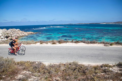 Experience Rottnest With Ferry & Bike Hire From Perth Or Fremantle - Surfers Gold Coast 2