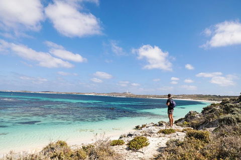 Experience Rottnest With Ferry & Bike Hire From Perth Or Fremantle - Surfers Gold Coast 3