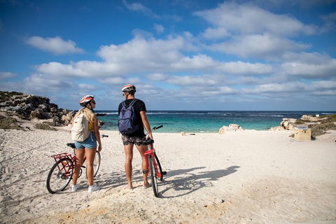 Experience Rottnest With Ferry & Bike Hire From Perth Or Fremantle - Surfers Gold Coast 5