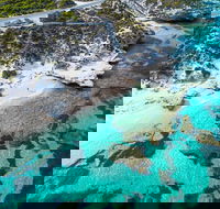 Rottnest Island Round-Trip Ferry from Perth or Fremantle - Surfers Gold Coast