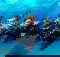 Great Barrier Reef Diving and Snorkeling Cruise from Cairns - Surfers Gold Coast