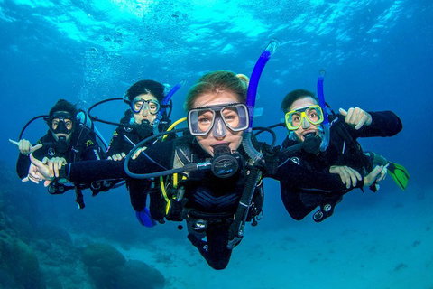 Great Barrier Reef Diving And Snorkeling Cruise From Cairns - Surfers Gold Coast 0