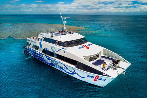 Great Barrier Reef Diving And Snorkeling Cruise From Cairns - Surfers Gold Coast 5