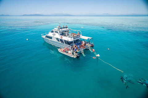 Ocean Freedom Great Barrier Reef Personal Luxury Snorkel & Dive Cruise, Cairns - Surfers Gold Coast 0