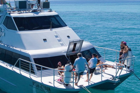 Ocean Freedom Great Barrier Reef Personal Luxury Snorkel & Dive Cruise, Cairns - Surfers Gold Coast 1