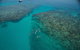 Ocean Freedom Great Barrier Reef Personal Luxury Snorkel & Dive Cruise, Cairns - thumb 3