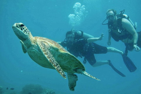 Ocean Freedom Great Barrier Reef Personal Luxury Snorkel & Dive Cruise, Cairns - Surfers Gold Coast 4