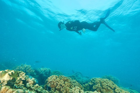 Ocean Freedom Great Barrier Reef Personal Luxury Snorkel & Dive Cruise, Cairns - Surfers Gold Coast 5