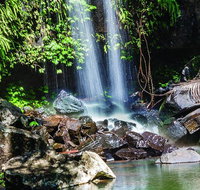 Full Day Small Group Luxury Tour to Tamborine Mountain - Surfers Gold Coast