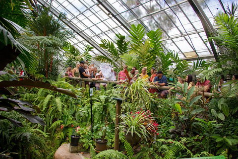 Australian Butterfly Sanctuary - Surfers Gold Coast 0