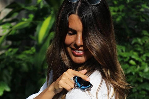 Australian Butterfly Sanctuary - Surfers Gold Coast 2