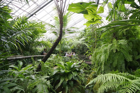 Australian Butterfly Sanctuary - Surfers Gold Coast 3