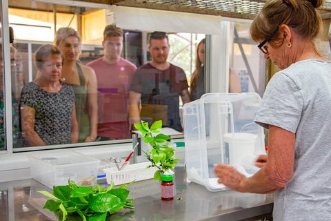 Australian Butterfly Sanctuary - Surfers Gold Coast 5