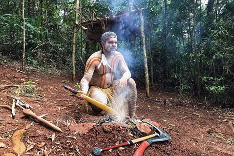 Kuranda Highlights Including Rainforestation Aboriginal Culture And Wildlife - Surfers Gold Coast 0
