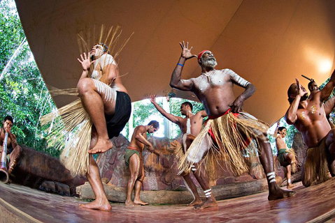 Kuranda Highlights Including Rainforestation Aboriginal Culture And Wildlife - Surfers Gold Coast 1