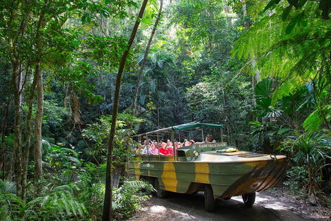 Kuranda Highlights Including Rainforestation Aboriginal Culture And Wildlife - Surfers Gold Coast 2