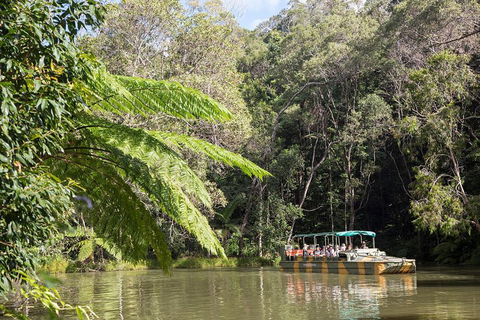 Kuranda Village, Army Duck Tour With Train And Skyrail (KDB) - Surfers Gold Coast 4