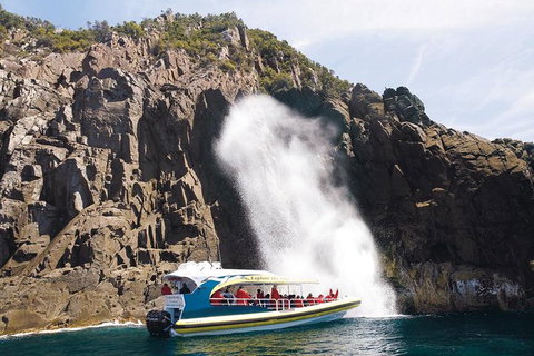 Full-Day Bruny Island Cruises Day Tour From Hobart - Surfers Gold Coast 4