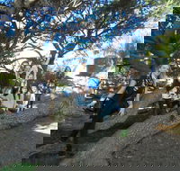 1/2 day Swan Valley Wine Cheese  Chocolate Tour Inc Afternoon Cruise to Perth - Surfers Gold Coast