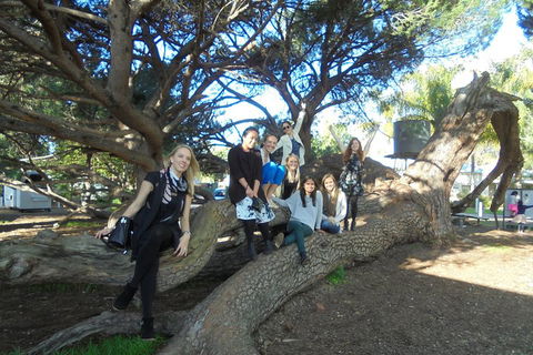 1/2 Day Swan Valley Wine Cheese & Chocolate Tour Inc Afternoon Cruise To Perth - Surfers Gold Coast 0