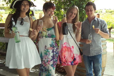 1/2 Day Swan Valley Wine Cheese & Chocolate Tour Inc Afternoon Cruise To Perth - Surfers Gold Coast 4