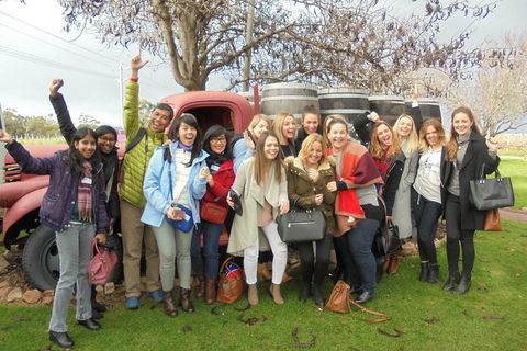 1/2 Day Swan Valley Wine Cheese & Chocolate Tour Inc Afternoon Cruise To Perth - Surfers Gold Coast 5