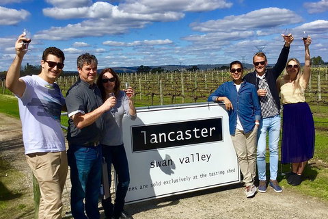 Swan Valley Tour From Perth: Wine, Beer And Chocolate Tastings - Surfers Gold Coast 1
