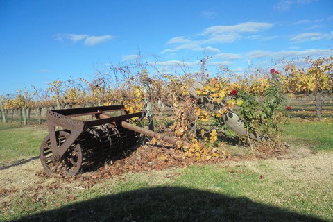 Swan Valley Tour From Perth: Wine, Beer And Chocolate Tastings - Surfers Gold Coast 3