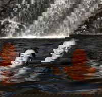 3 Day 4WD Dragonfly Dreaming Top End Safari - Surfers Gold Coast