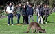 2-Day Kangaroo Island 4WD Small-Group Tour From Adelaide - thumb 1