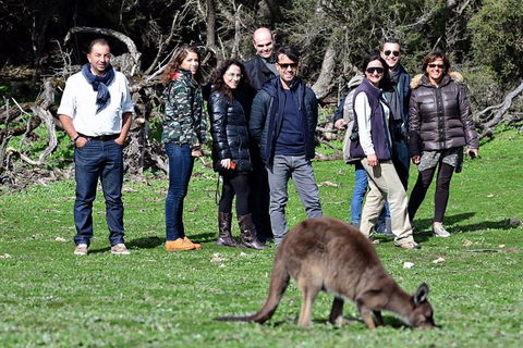 2-Day Kangaroo Island 4WD Small-Group Tour From Adelaide - Surfers Gold Coast 1