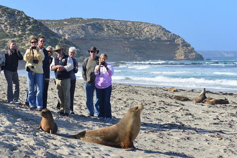 2-Day Kangaroo Island 4WD Small-Group Tour From Adelaide - Surfers Gold Coast 3