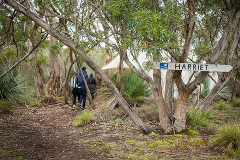 2-Day Kangaroo Island 4WD Small-Group Tour From Adelaide - Surfers Gold Coast 5