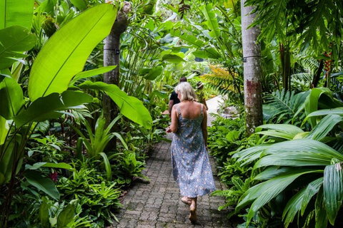 Cairns City Sights And Surrounds Tour - Surfers Gold Coast 2
