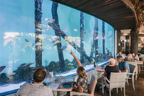 Cairns Aquarium Tour By Twilight With Drink And Appetiser - Surfers Gold Coast 3
