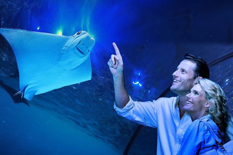 Cairns Aquarium Tour By Twilight With Drink And Appetiser - Surfers Gold Coast 4