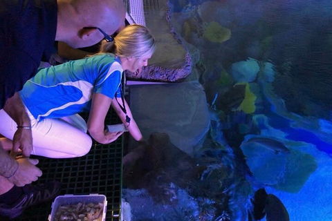 Cairns Aquarium Marine Life Encounter Ticket With 2-Course Lunch - Surfers Gold Coast 2