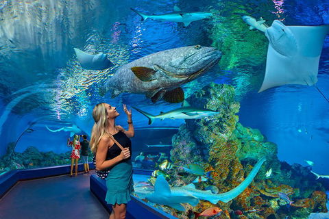 Cairns Aquarium Admission Ticket - Surfers Gold Coast 3